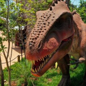 Vale dos Dinossauros