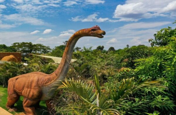Vale dos Dinossauros - Image 13