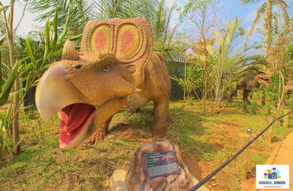 Vale dos Dinossauros - Image 12