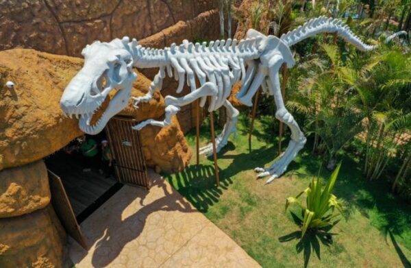 Vale dos Dinossauros - Image 6