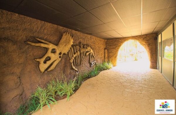Vale dos Dinossauros - Image 4