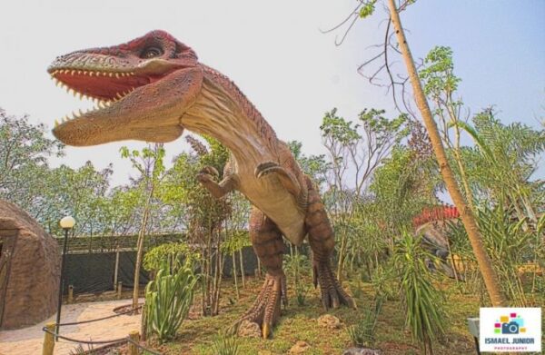 Vale dos Dinossauros - Image 3