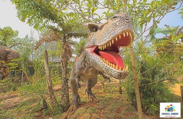 Vale dos Dinossauros - Image 8