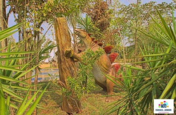 Vale dos Dinossauros - Image 9