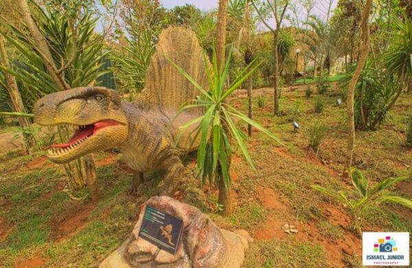 Vale dos Dinossauros - Image 10